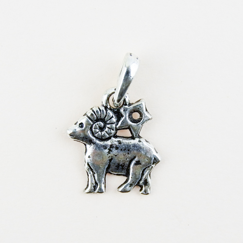 Horoscope Pendant / Charm